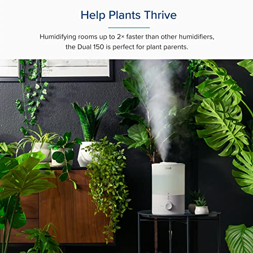 LEVOIT Top Fill Humidifiers for Bedroom, 2.5L Tank for Large Room, Easy to Fill & Clean, 28dB Quiet Cool Mist Air Humidifier for Home Baby Nursery & Plants, Auto Shut-off and BPA-Free for Safety, 25H